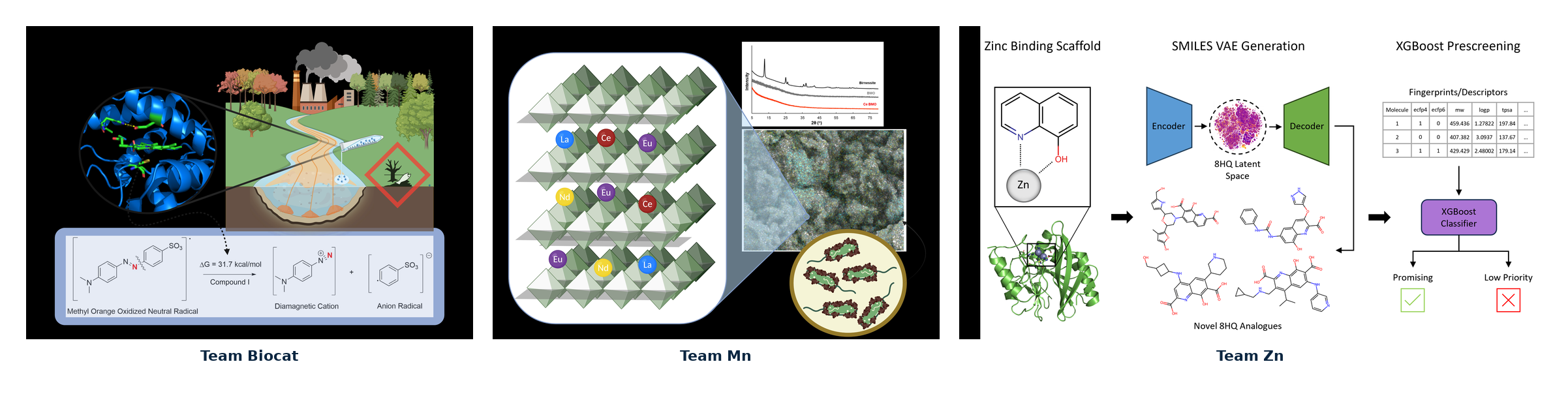 Summary of Stone Lab research teams: Team Biocat, Team Mn, and Team Zn