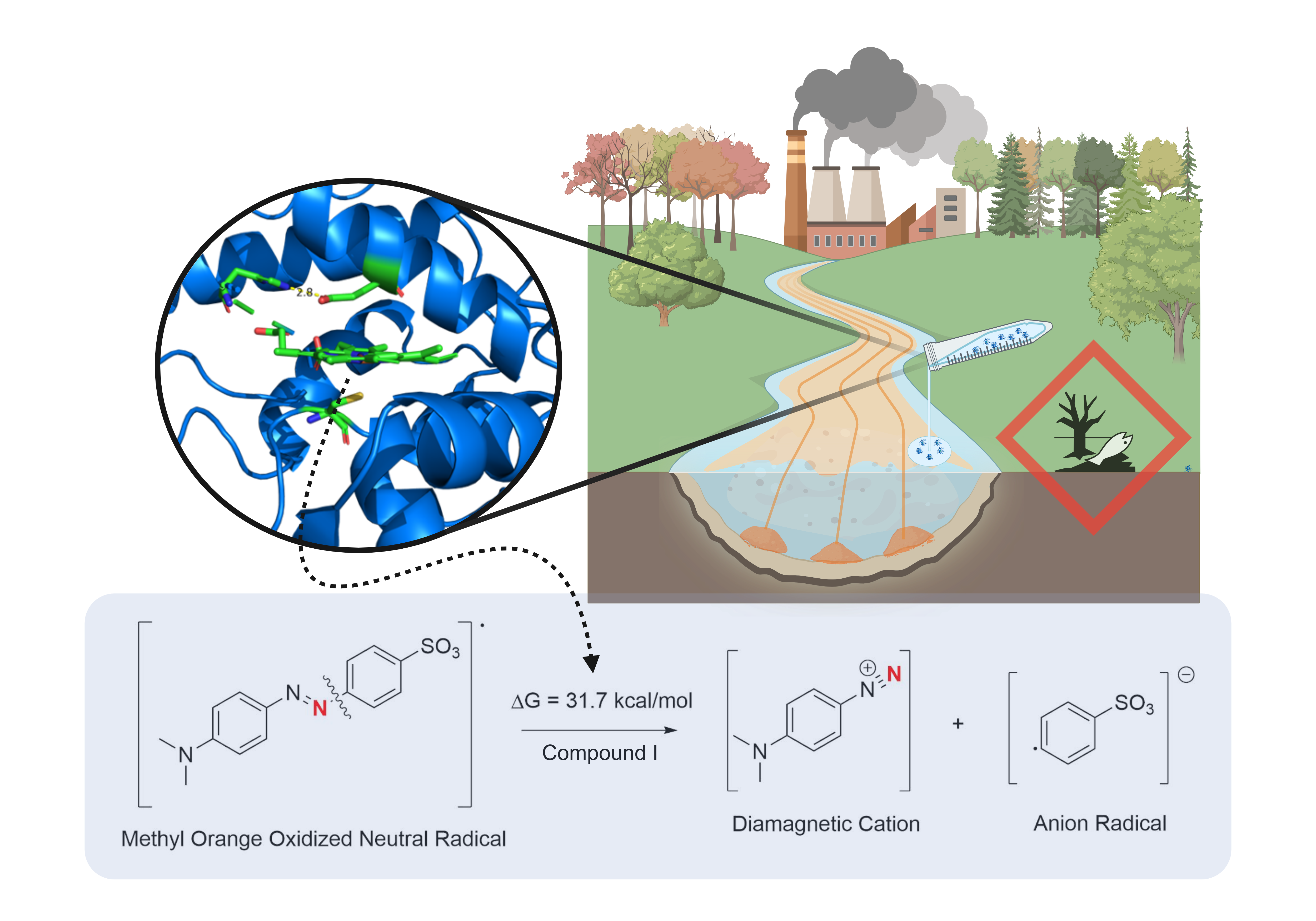 Team Biocat graphical abstract: chloroperoxidase active site, dye decolorization pathway for methyl orange, and environmental remediation